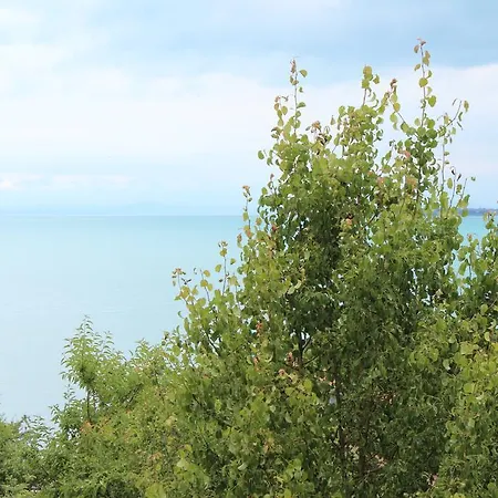Panorama South Apartmanhotel Szveti Vlasz